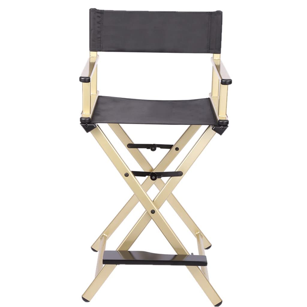 Folding Aluminum Director's Chair A176590