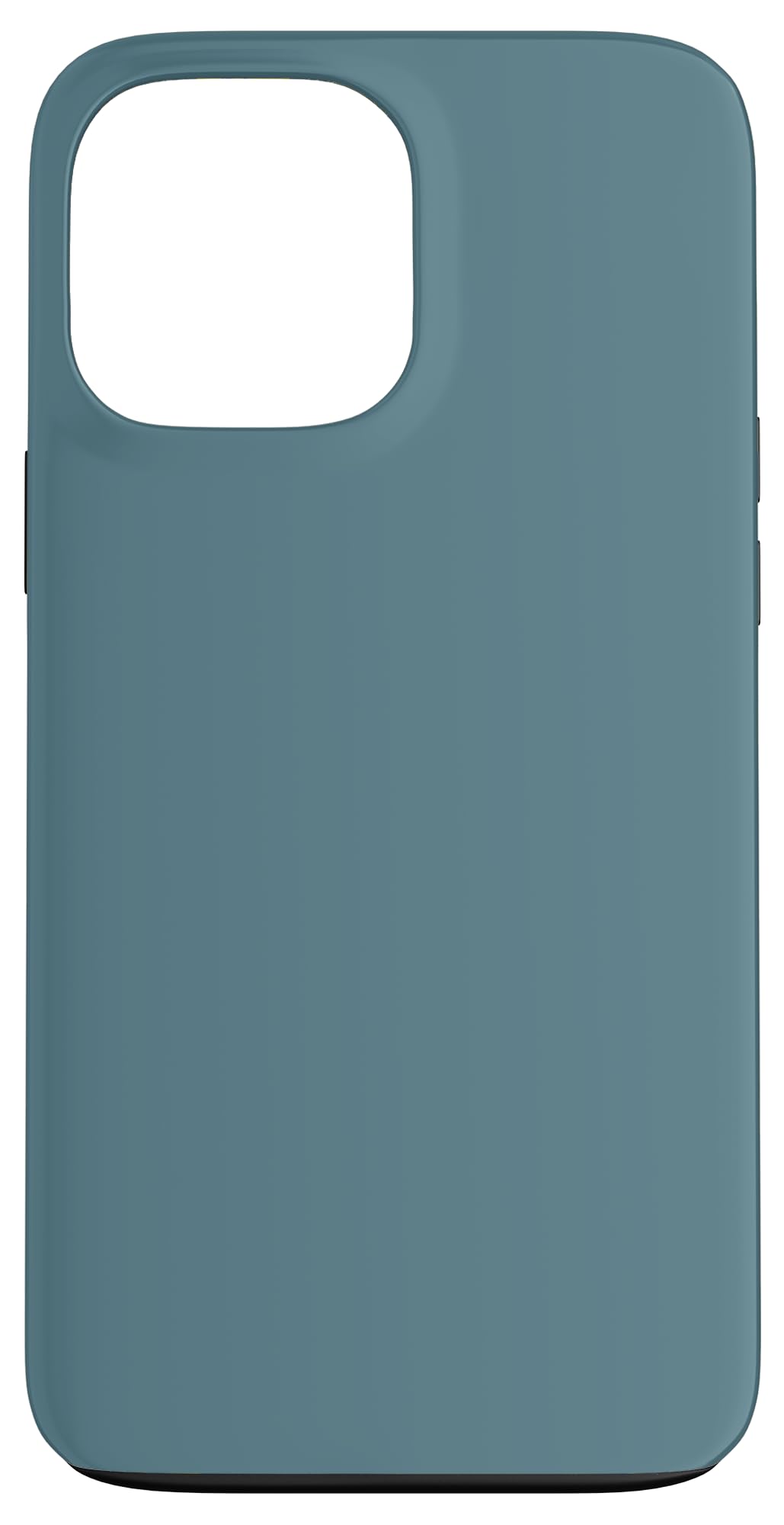 Case for iPhone 13 Pro Max Z598296