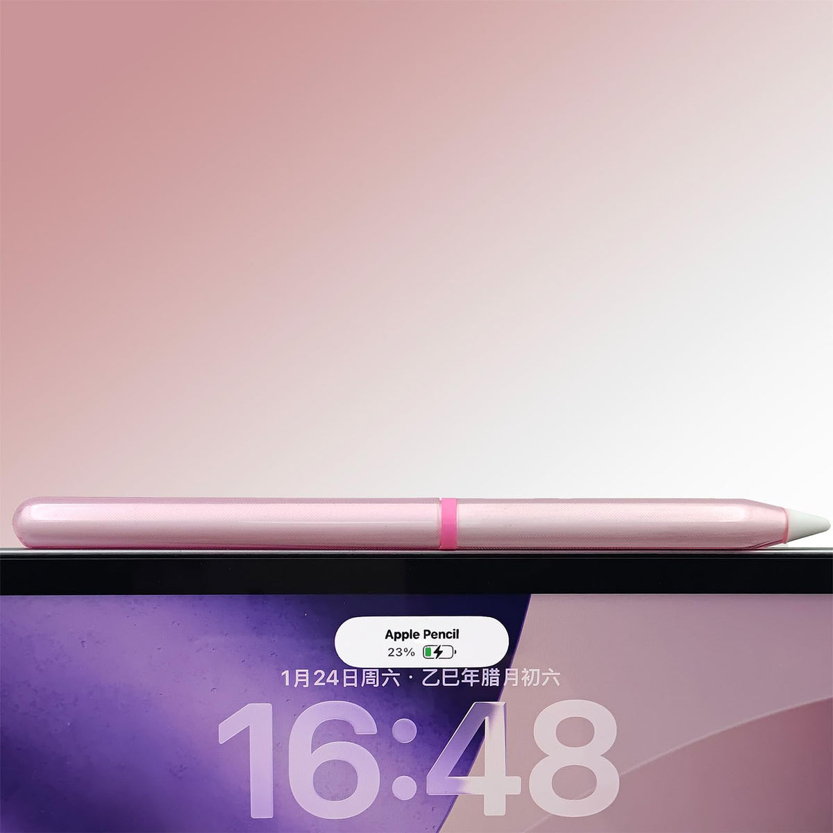 Pink Protective Pencil Case with 2 Silicone Tip Covers H599
