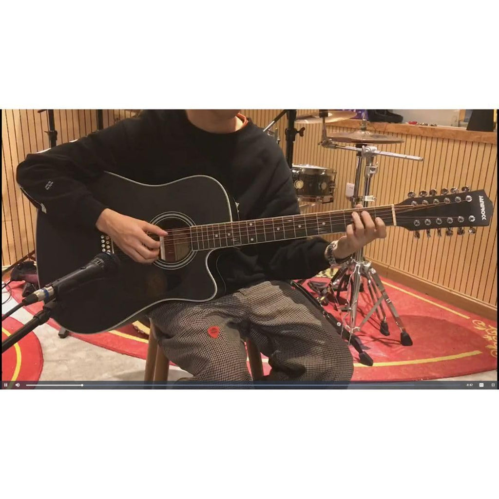 12-string Acoustic-electric Guitar Black D80708