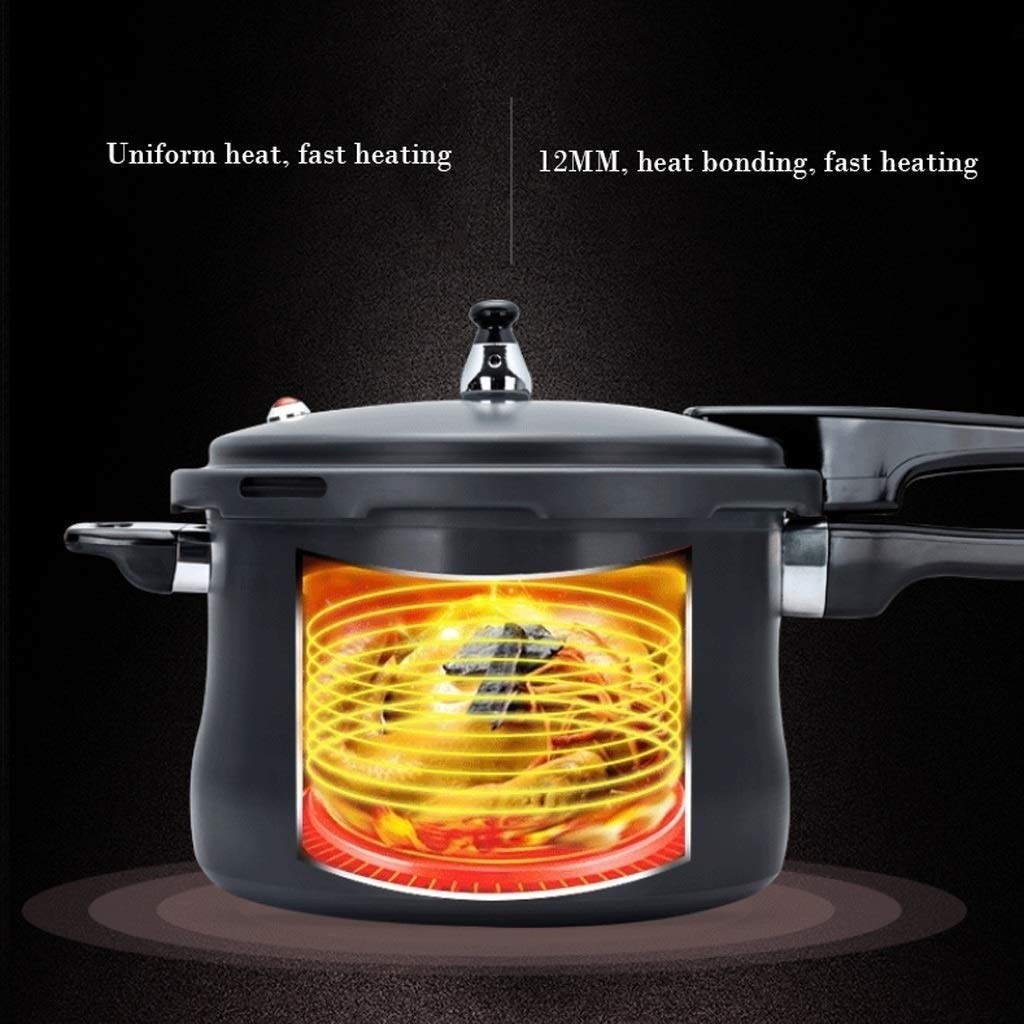 Stainless Steel Dishwasher Safe Cadmium Free Pressure Cooker Black 3L D792