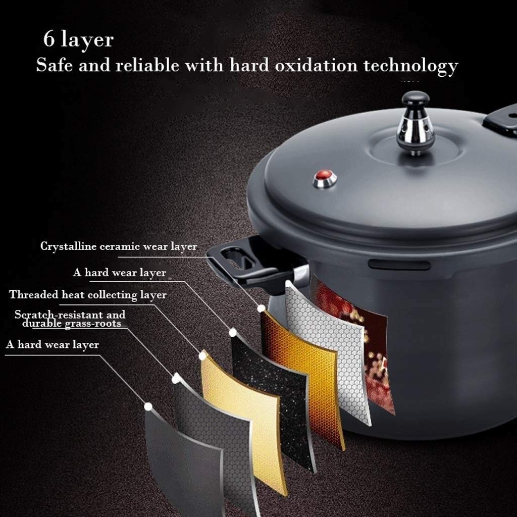 Stainless Steel Dishwasher Safe Cadmium Free Pressure Cooker Black 3L D792