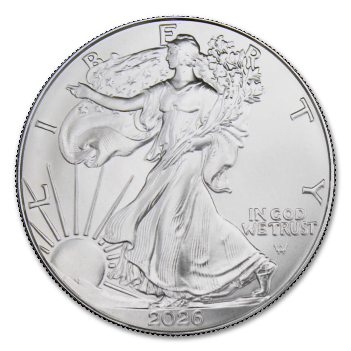 1 oz American Silver Eagle Coin Brilliant Uncirculated O404110