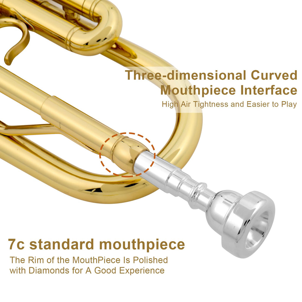 Bb Standard Trumpet Set F646