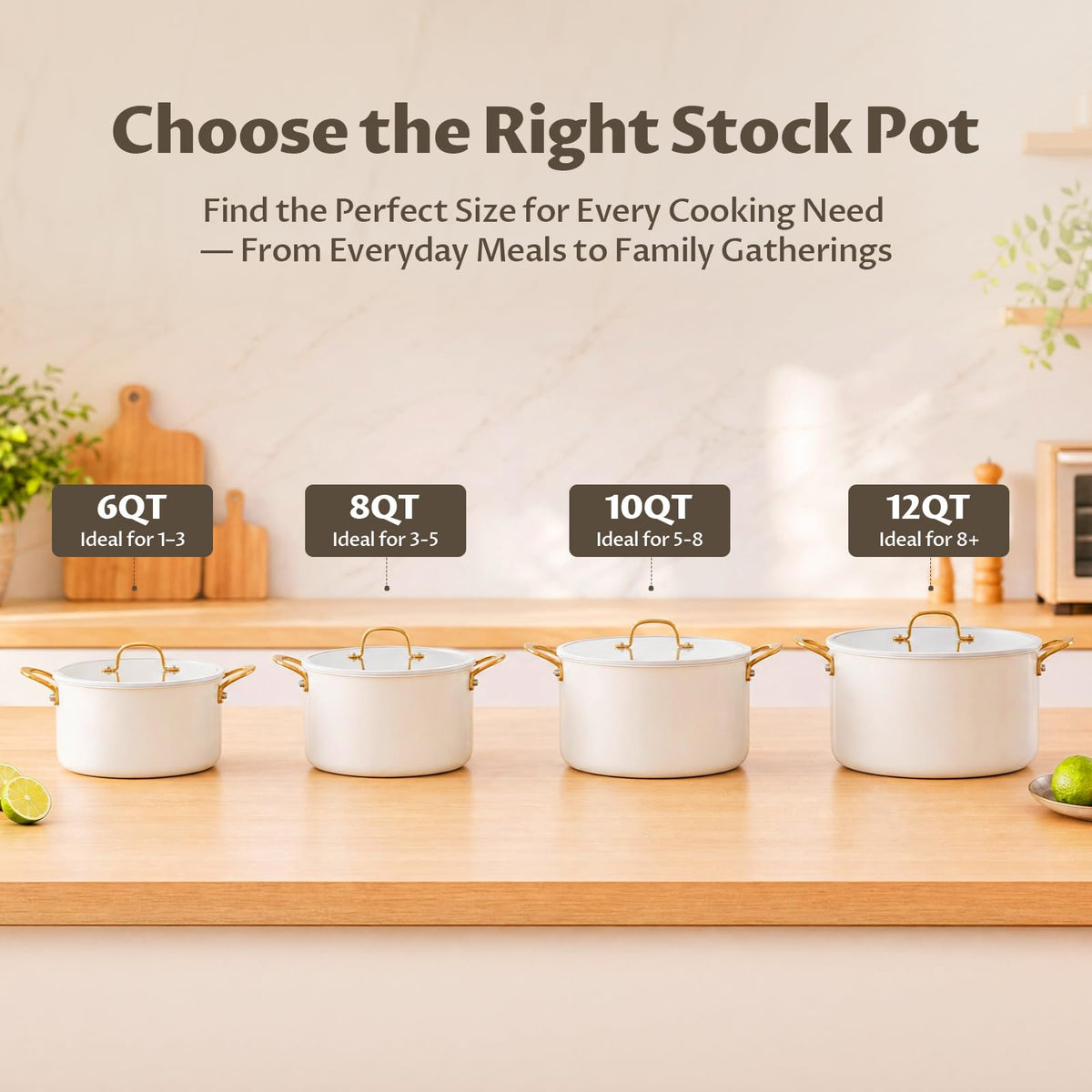 12 Quart Stainless Steel Stock Pot F349882