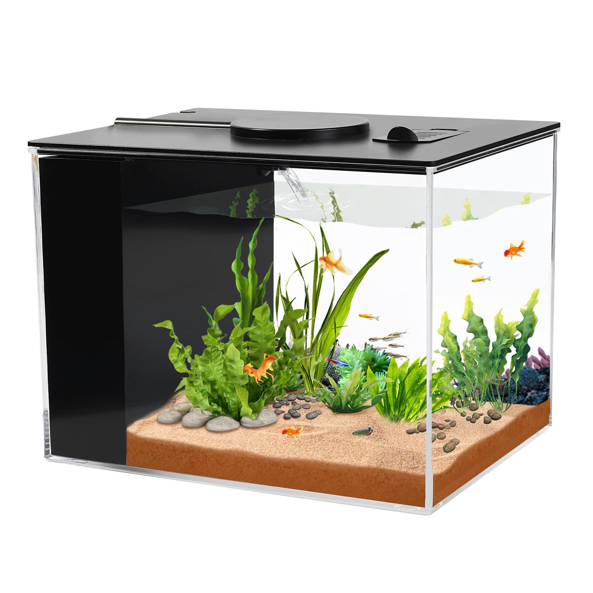1 Gallon Betta Fish Tank with LED Light and Water Filter Pump E338966