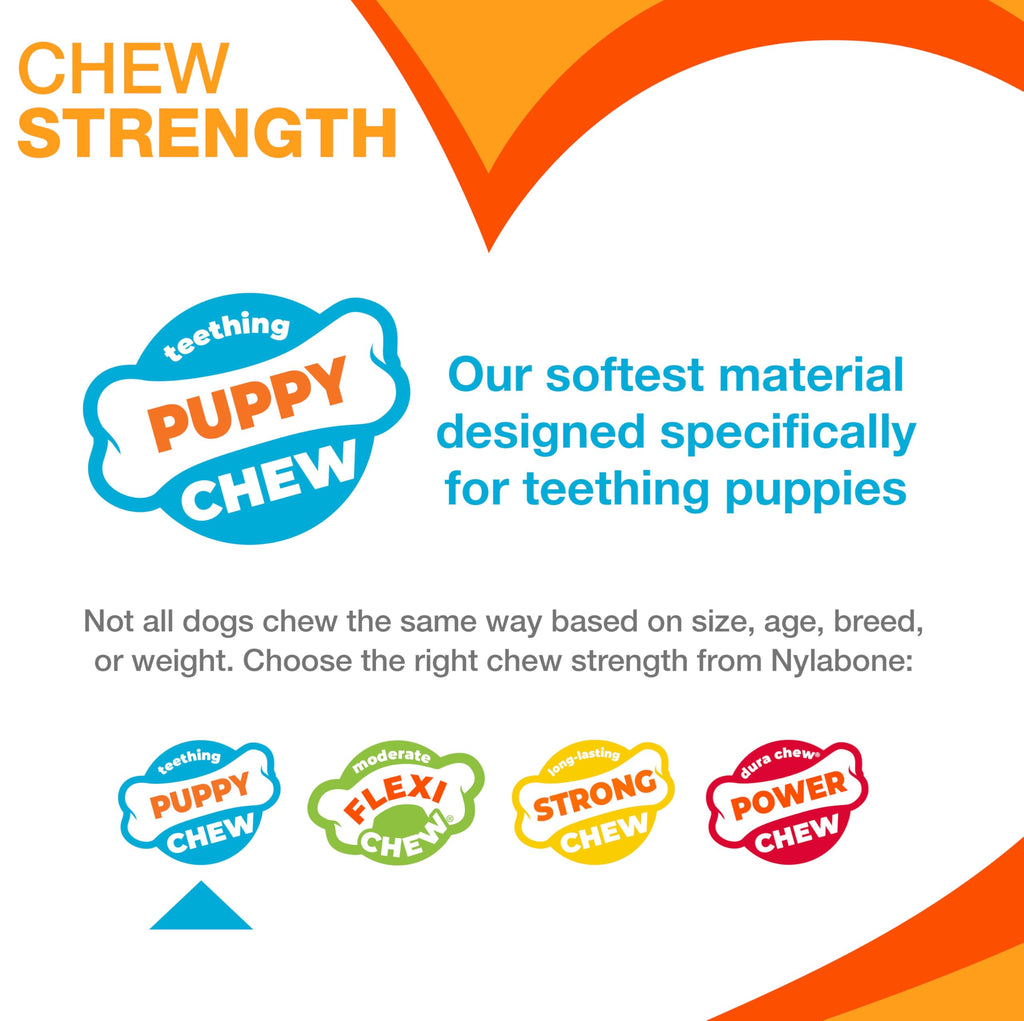 Chicken Flavor X-Small Dog Chew Toy E403