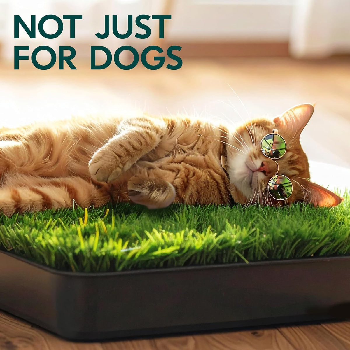 23”x35” Artificial Grass Dog Potty Pad with Tray W761582