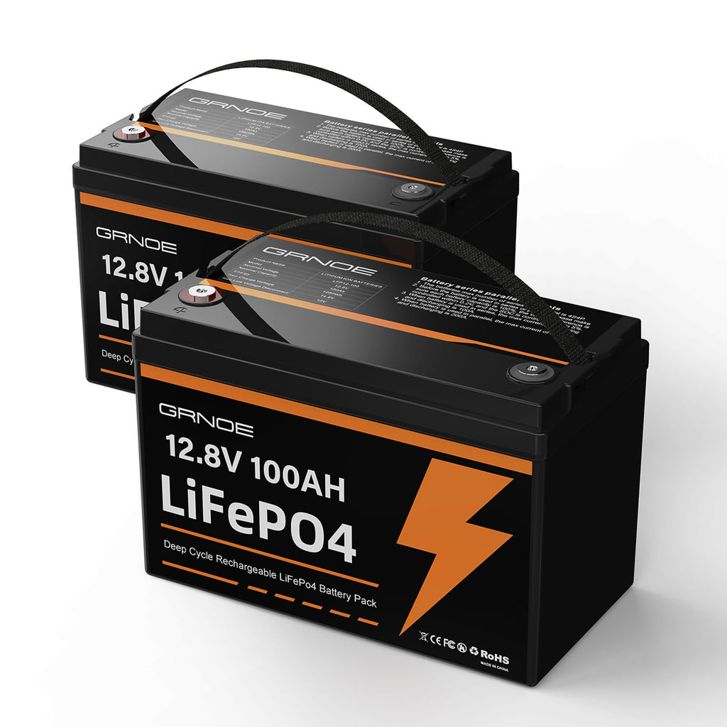 12V 100Ah LiFePO4 Lithium Battery 2 Pack B719