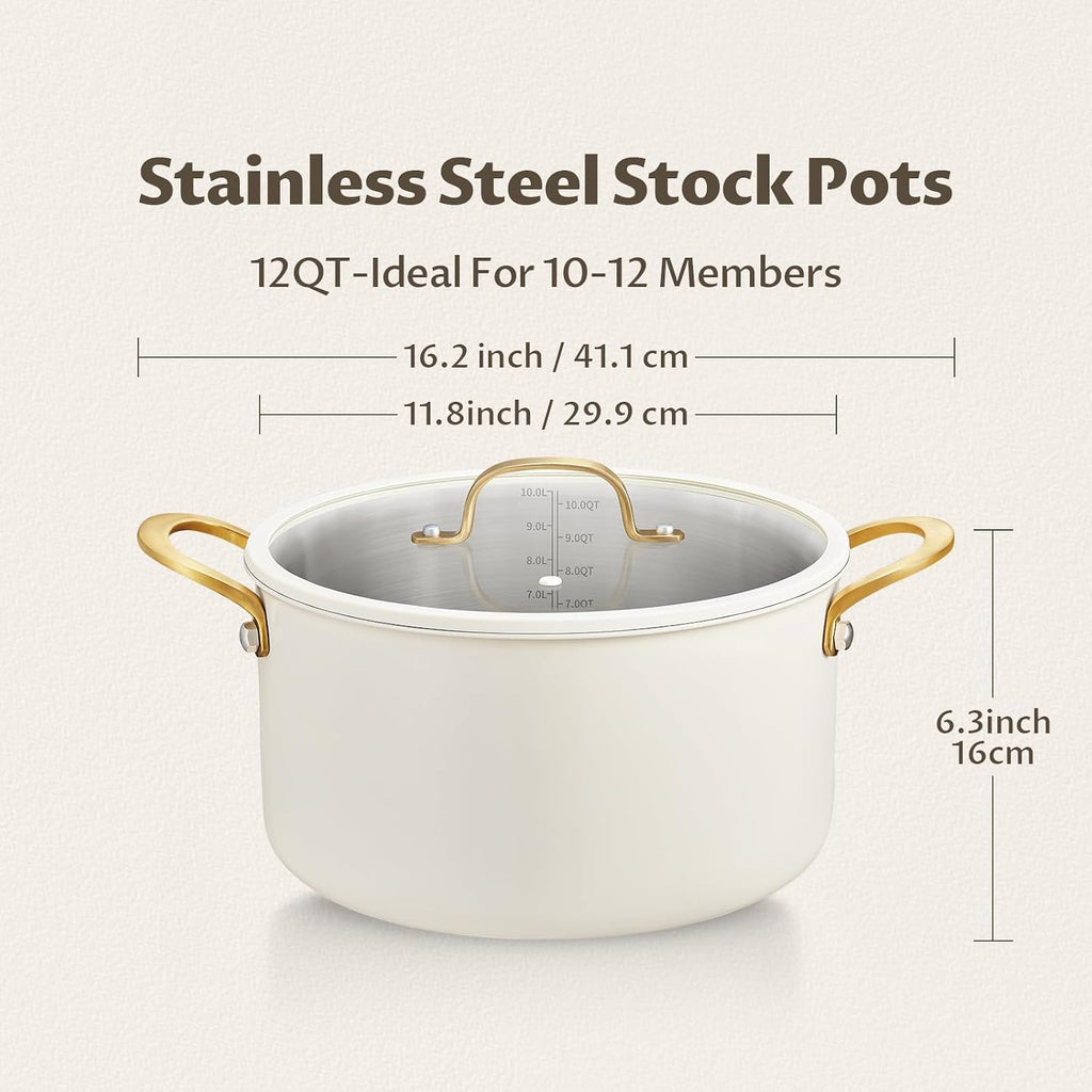12 Quart Stainless Steel Stock Pot F349882