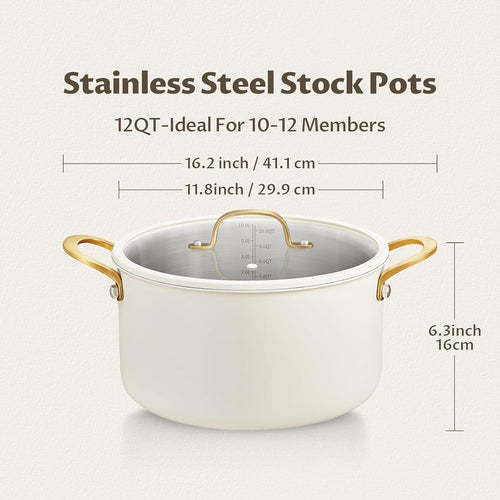 12 Quart Stainless Steel Stock Pot F349882
