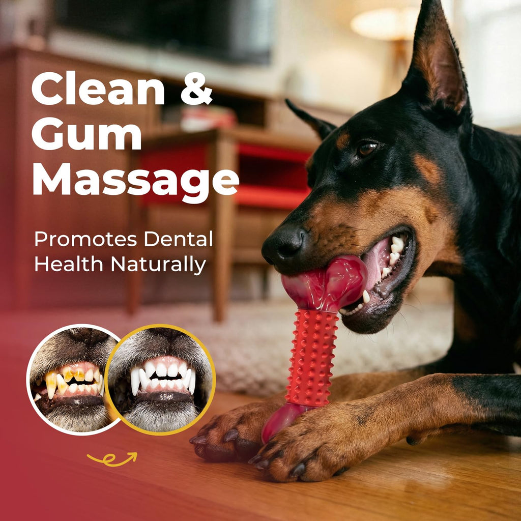 Beef Flavored Dog Chew Toys W7597
