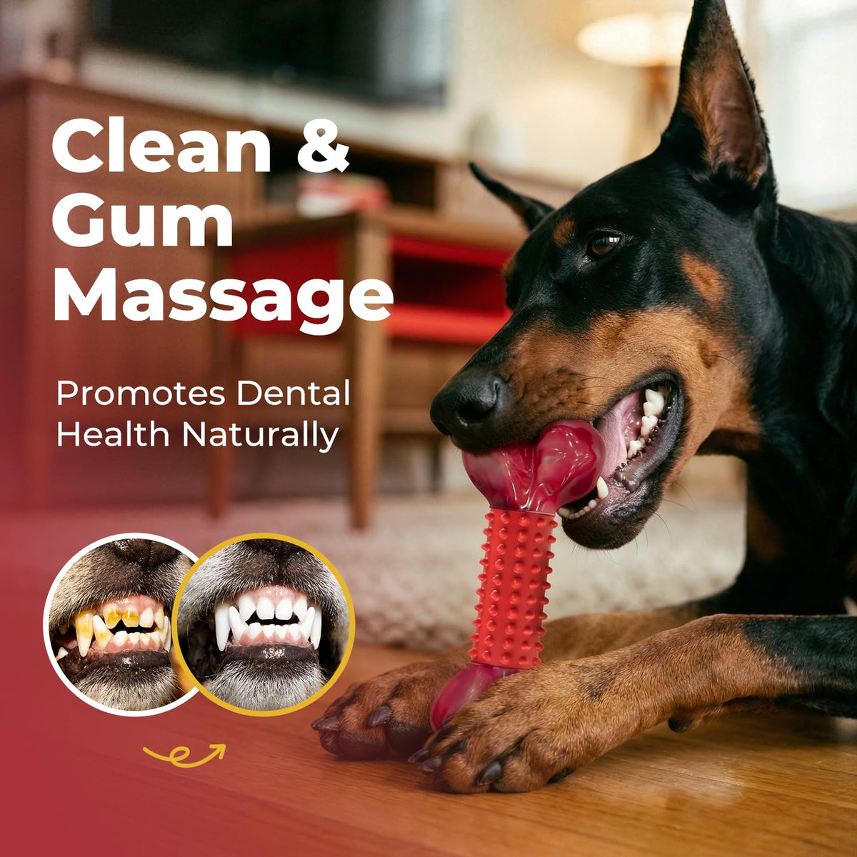 Beef Flavored Dog Chew Toys W7597