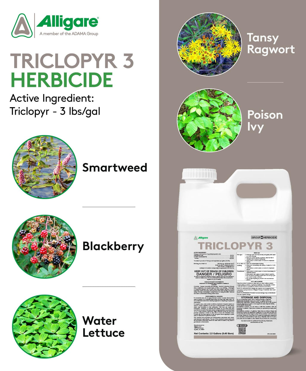 Triclopyr 3 Herbicide 2.5 Gal I66098