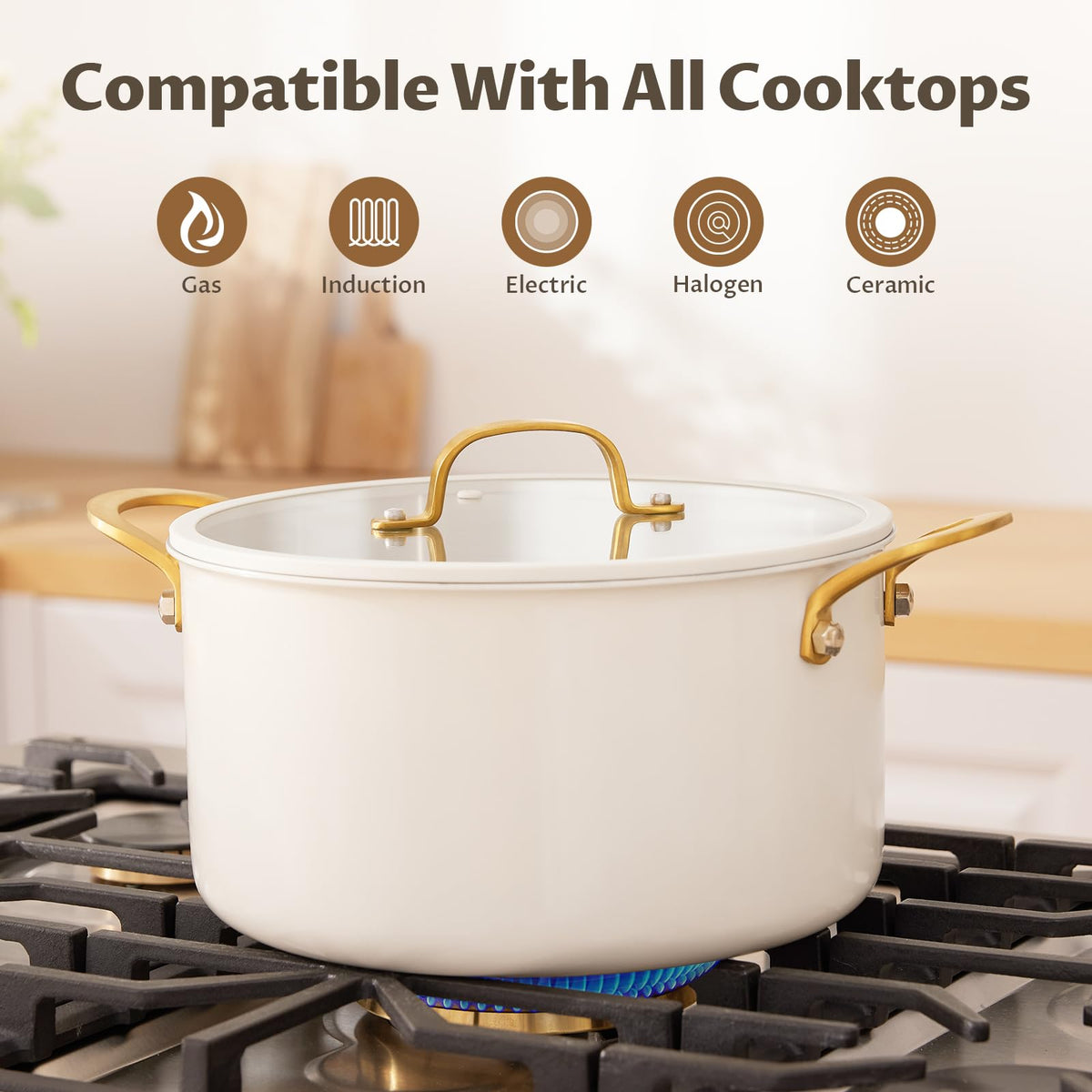 12 Quart Stainless Steel Stock Pot F349882