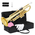 Bb Standard Trumpet Set F646