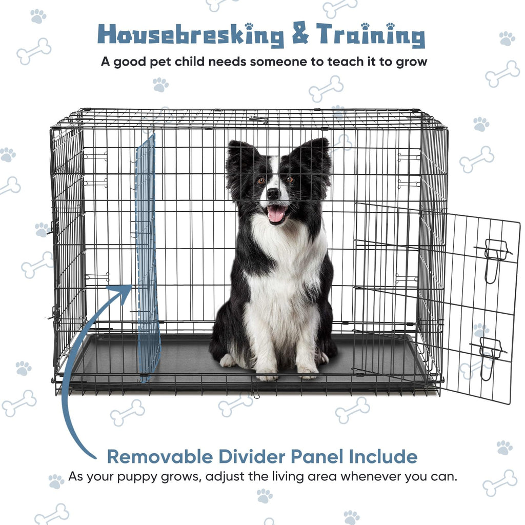 48 Inch Foldable Dog Crate C29407