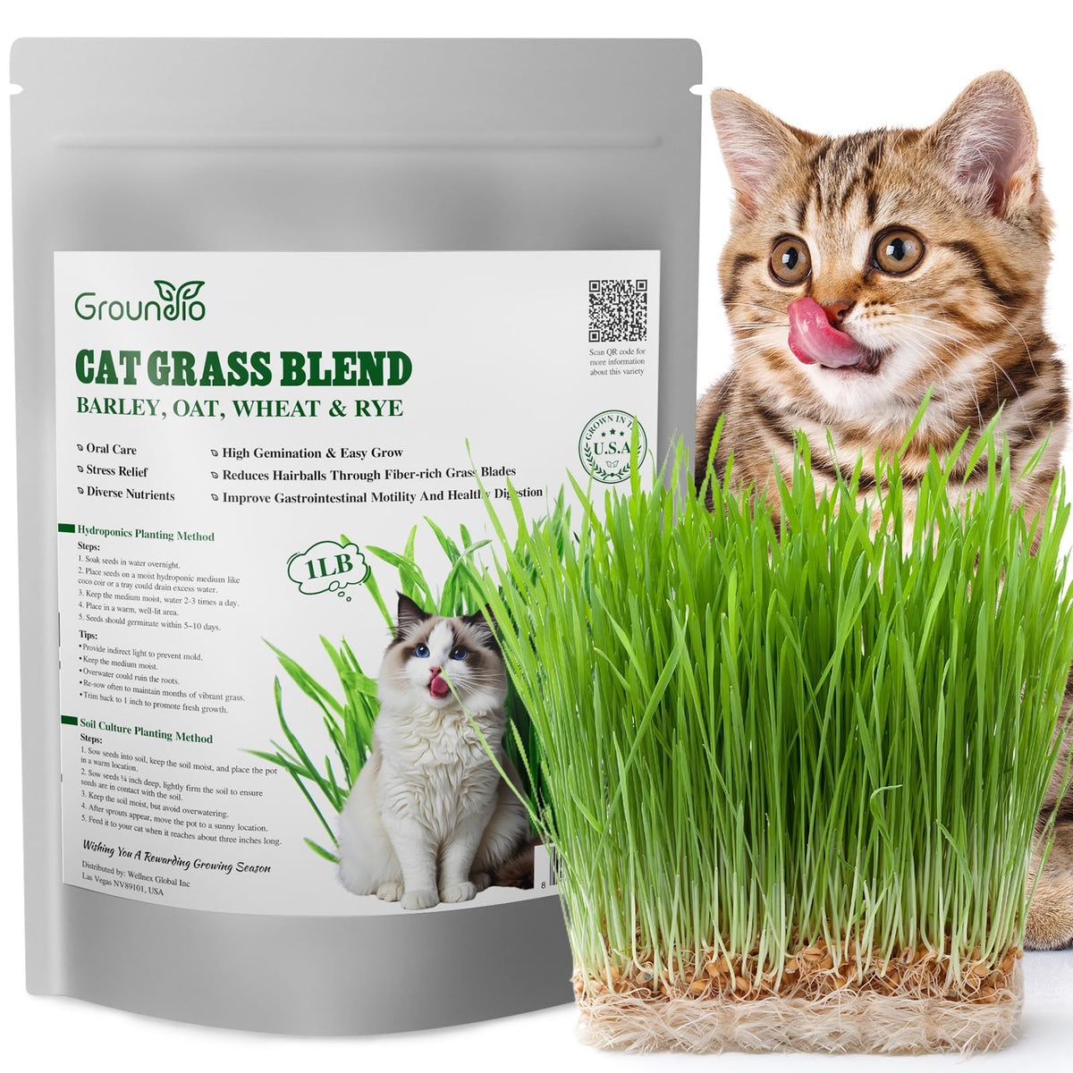 Cat Grass Seeds Bulk 1LB Non-GMO Heirloom Barley Oats Wheat Rye F9256