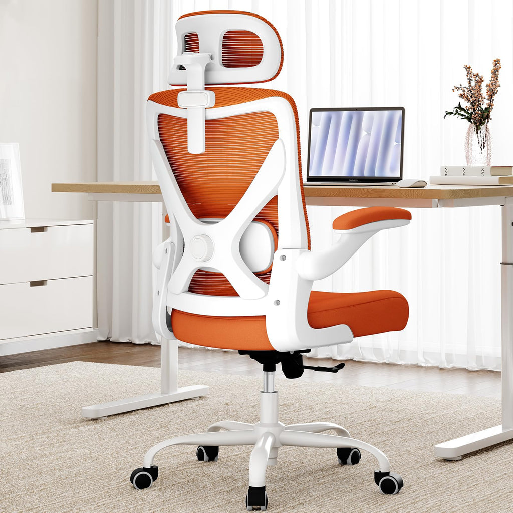 Ergonomic Mesh Office Chair with Headrest Q331