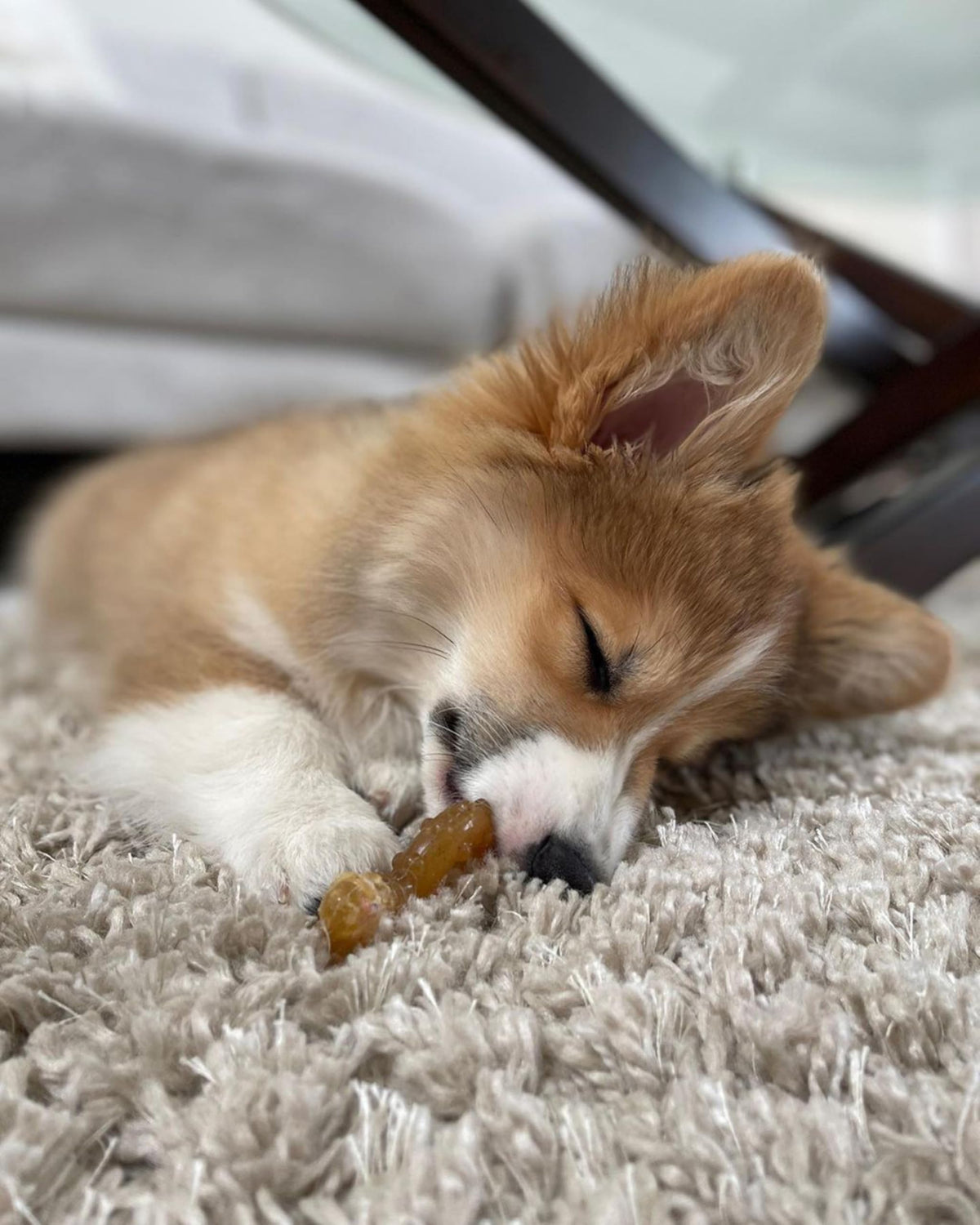 Chicken Flavor X-Small Dog Chew Toy E403