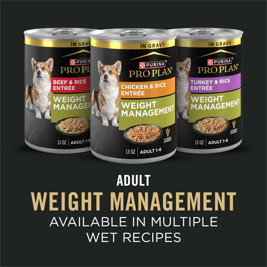 Weight Management Chicken & Rice Dry Dog Food 34 lb Bag R145