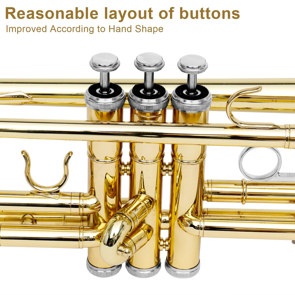 Bb Standard Trumpet Set F646