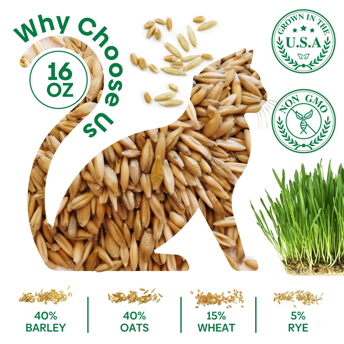 Cat Grass Seeds Bulk 1LB Non-GMO Heirloom Barley Oats Wheat Rye F9256