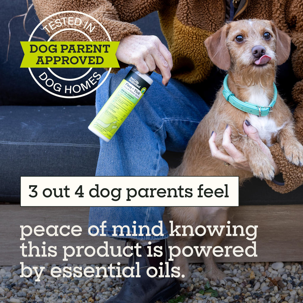Natural Flea & Tick Spray for Dogs, 10 oz Plant-Based Q3044