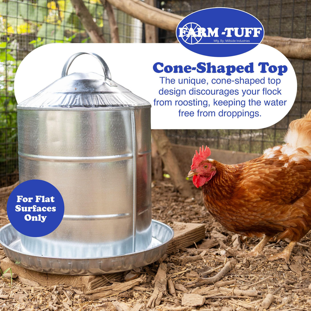 Galvanized 5 Gallon Poultry Waterer I67183